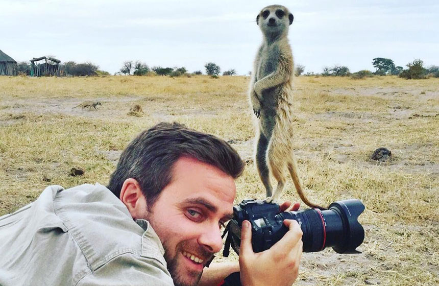 Curious merkaat posing on the camera, Botswana