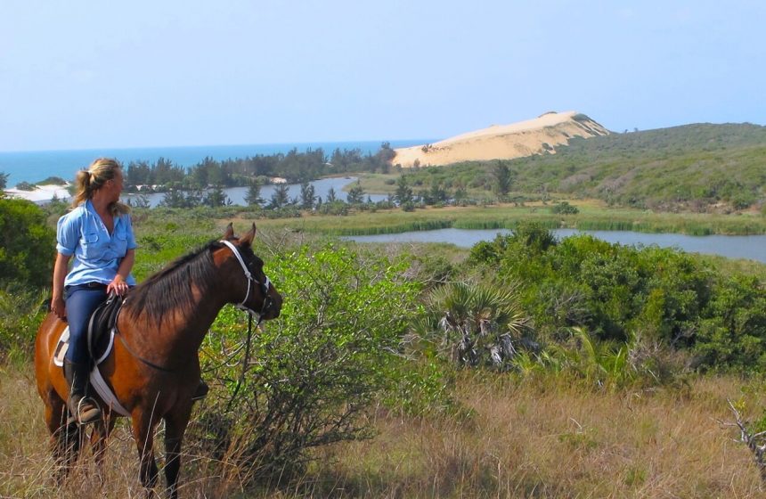 Discovering the Mozambique Fauna by horse