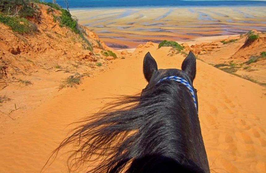 Horseback riding in Mozambique