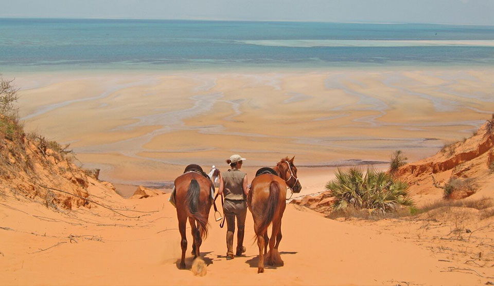 Bringing the horses to the Beach, Mozambique